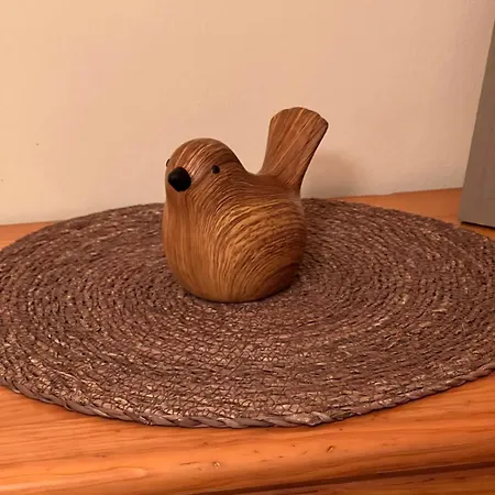 Le Bonheur Partagé Au Puy En Velay *